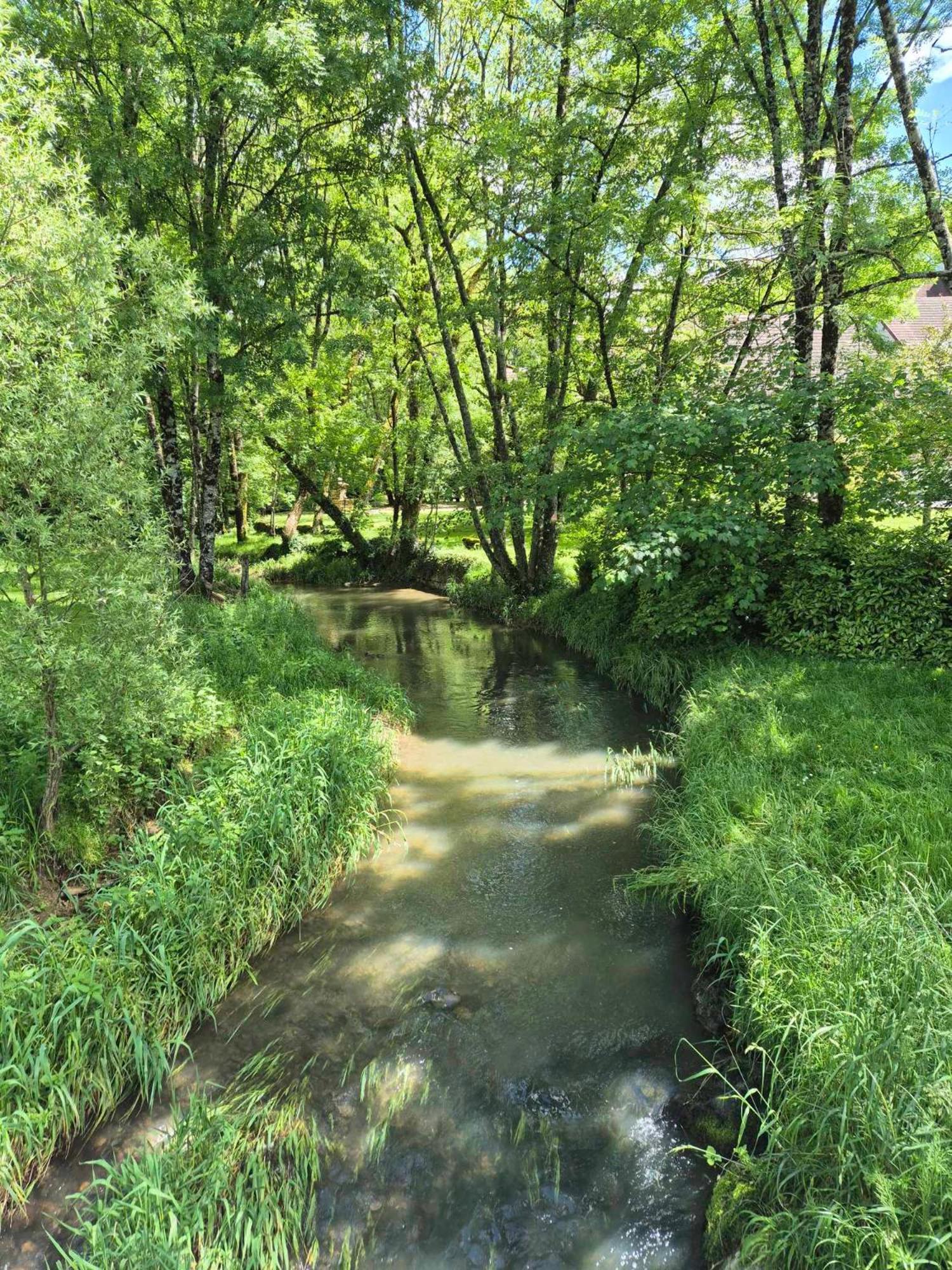 Au Lavoir Du Serein "La Billaude" Et "La Langouette" Saint-Germain-lès-Arlay Zewnętrze zdjęcie